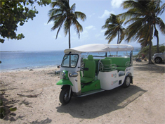 Best of Bonaire TukTuk Tours