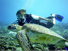 Bonaire Marine Park