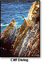 cliffdiving.jpg (23708 bytes)